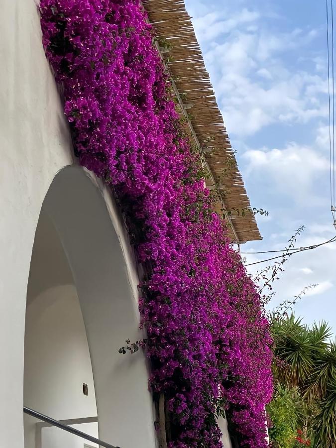 דירות קאפרי Roberhouse Tragara 37 מראה חיצוני תמונה